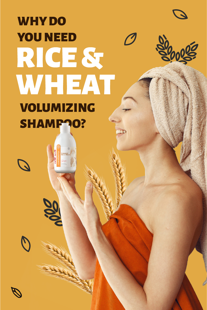 Careberry's Fermented Rice & Wheat Volumizing Shampoo: Why Do You Need It?